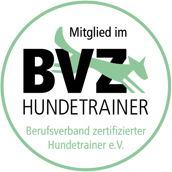 Logo-BVZ
