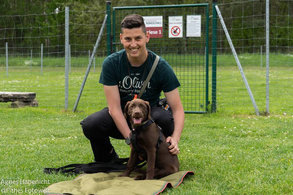 welpenkurs_welpentraining_bild10_hundeschule-marschall.jpg