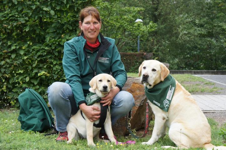 Rezertifizierung: Therapie-Besuchs- oder Schulhund-Team