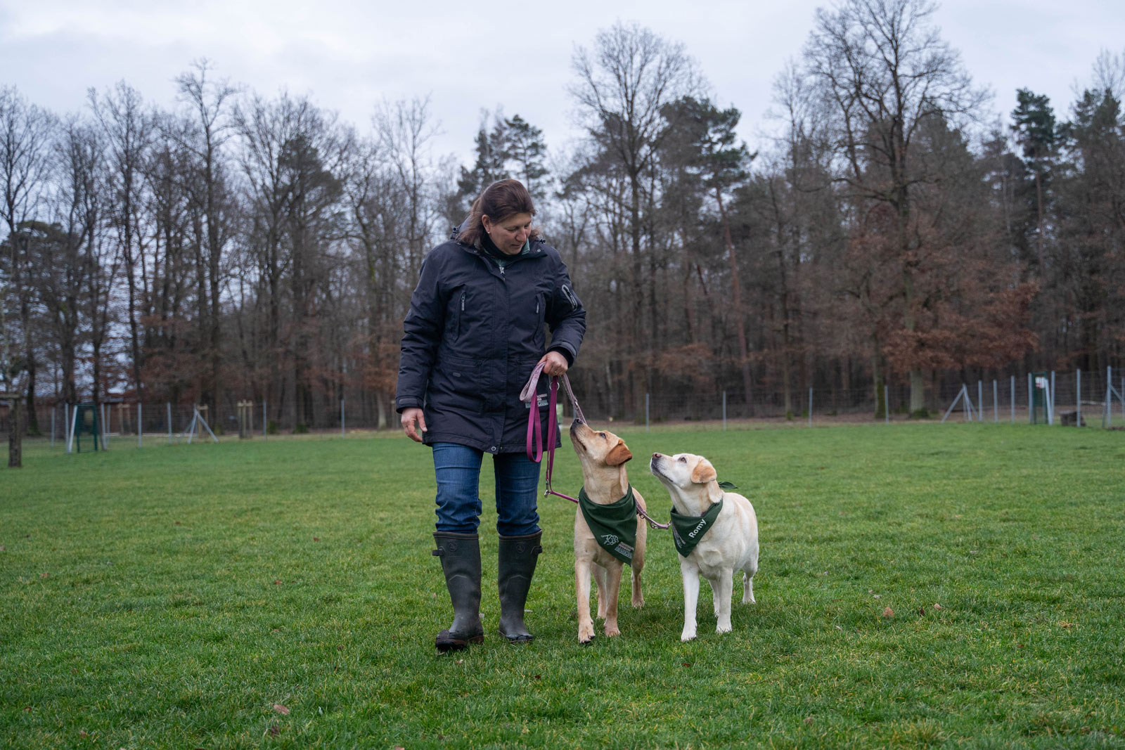Eine Hundetrainerin geht mit zwei angeleinten Hunden über eine grüne Wiese während eines Trainings der Hundeschule Ingelheim im Freien.