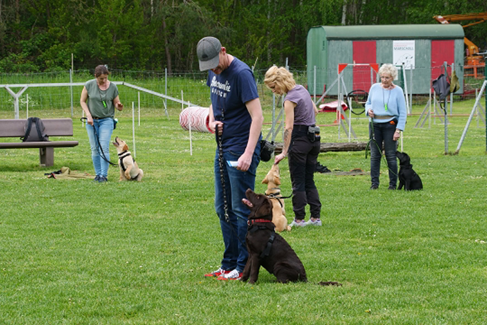 Mehrere Hundehalter trainieren mit ihren Hunden auf einem grünen Übungsplatz, während die Tiere konzentriert sitzen oder arbeiten – Trainingseinheit der Hundeschule Ingelheim.