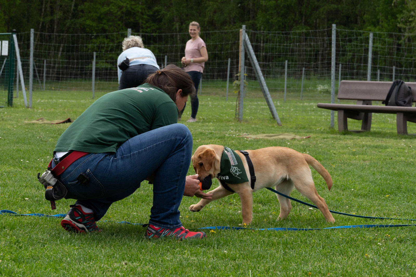 hundeschule-marschall-welpenkurs-bingen-04 Eine Hundetrainerin hockt auf einer Wiese und übt spielerisch mit einem jungen Hund während des Welpenkurs Bingen.