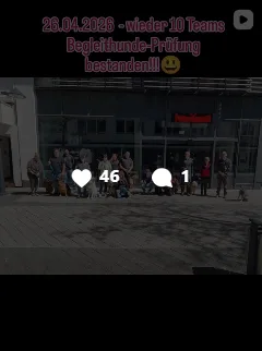 insta_1