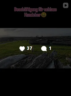 insta_3