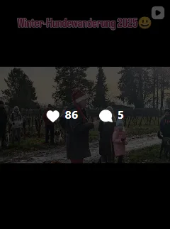 insta_4