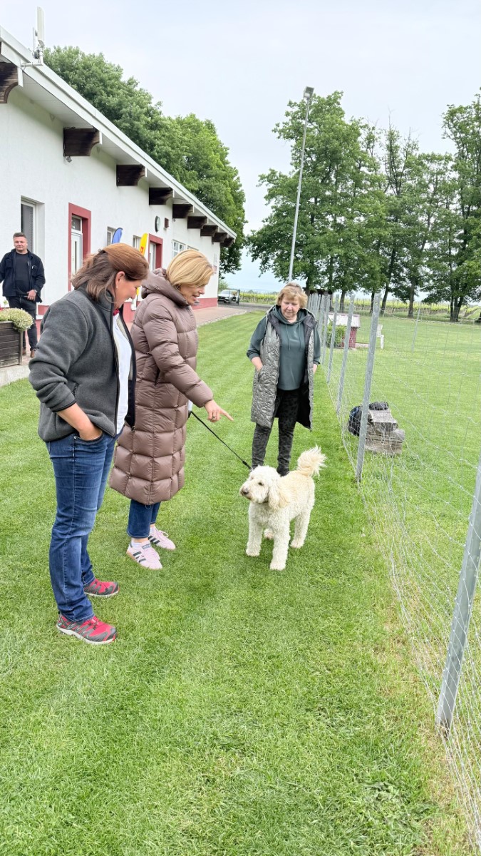 julia_kloeckner_2026_A16