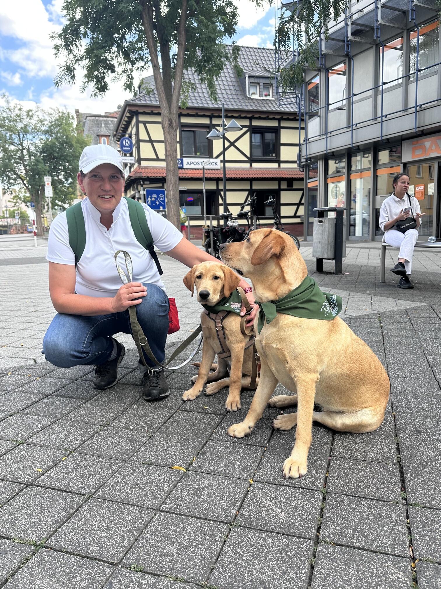 IMG_2550