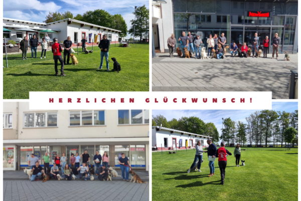 Bildvorlage Newsletter